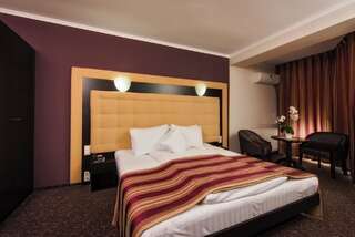Отель Hotel Ozana Бистрица Двухместный номер бизнес-класса с 1 кроватью-5