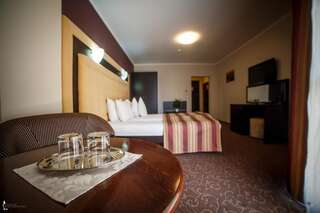 Отель Hotel Ozana Бистрица Двухместный номер с 1 кроватью-6