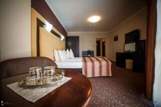 Отель Hotel Ozana Бистрица Двухместный номер с 1 кроватью-15
